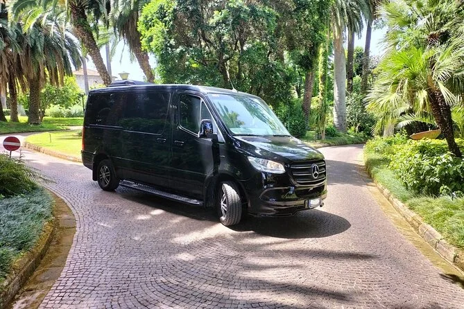 Ein schwarzer Minivan, geparkt auf einer palmengesäumten Auffahrt